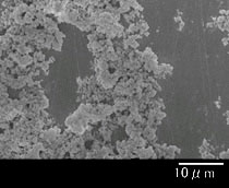 EP酸化ジルコニウム 顕微鏡写真01