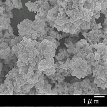 SPZ酸化ジルコニウム 顕微鏡写真02