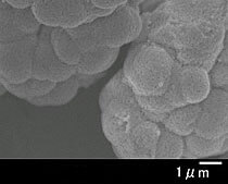 DK-3CH酸化ジルコニウム 顕微鏡写真02