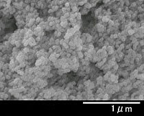 UEP酸化ジルコニウム 顕微鏡写真01