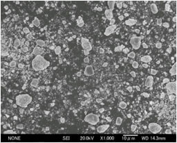 炭化ジルコニウム 顕微鏡写真02